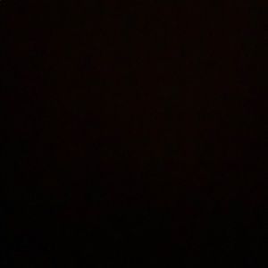 Meet your Posher, Gianna